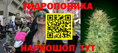 ПСИЛОЦИБИНОВЫЕ ГРИБЫ Донской