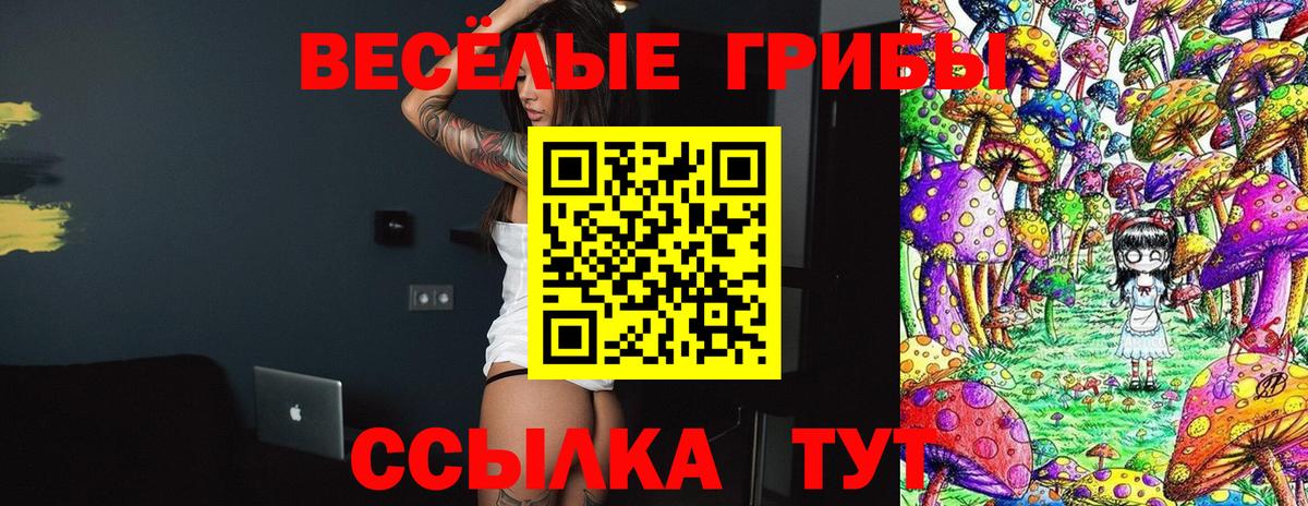 Псилоцибиновые грибы Cubensis Менделеевск